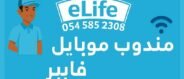 fiberhome.online